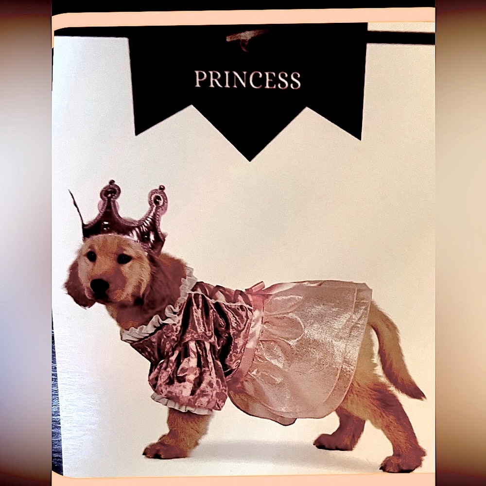 🆕 3/for $20 in a BUNDLE - Ministry of Rascals Pet Apparel